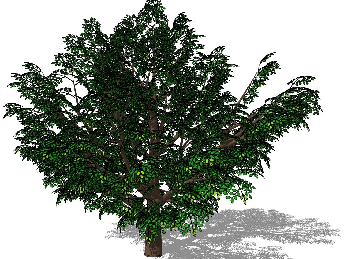 3D乔木 (41).jpg