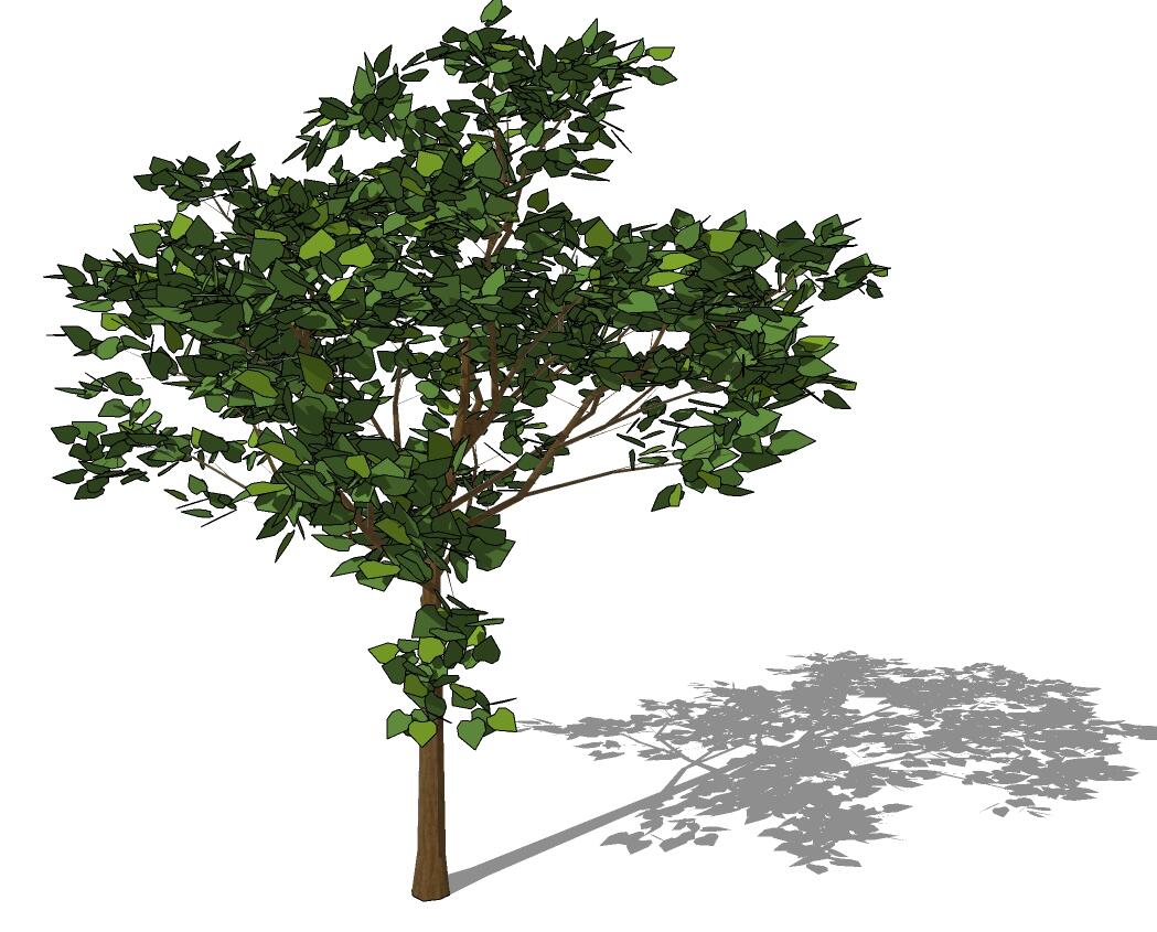 3D乔木 (50).jpg