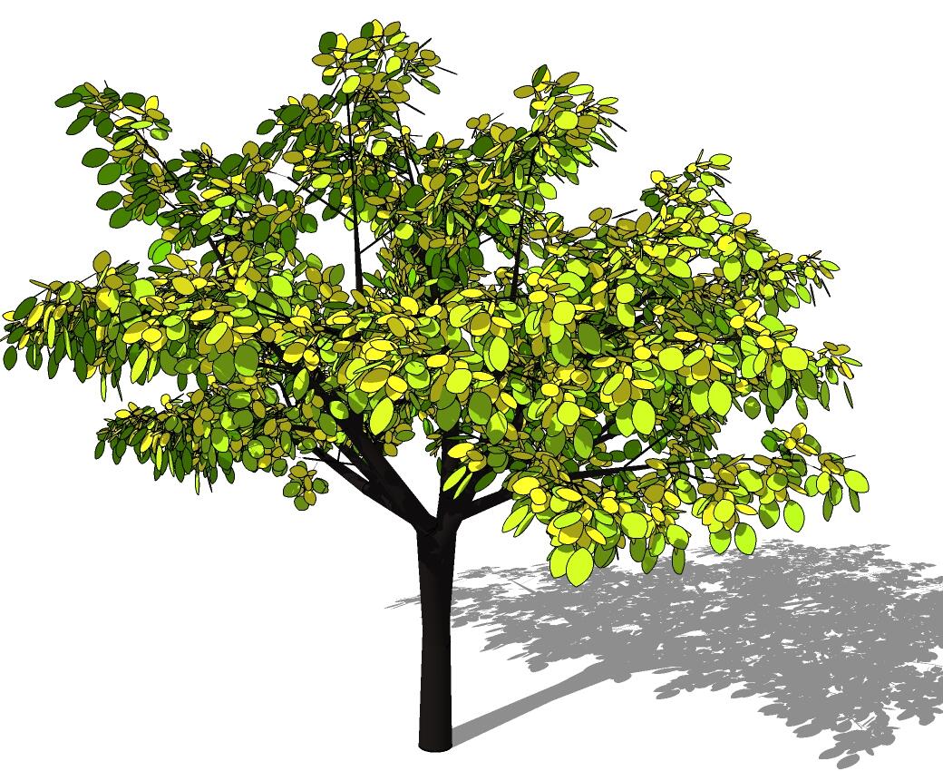 3D乔木 (60).jpg