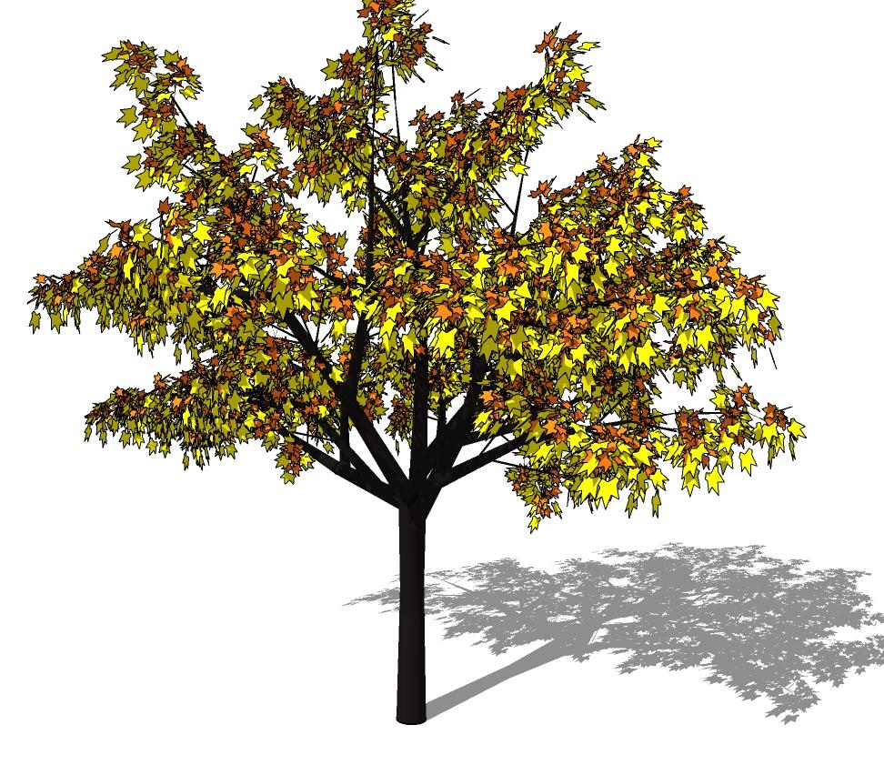 3D乔木 (61).jpg