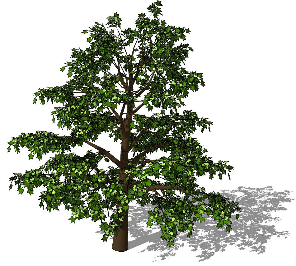 3D乔木 (62).jpg