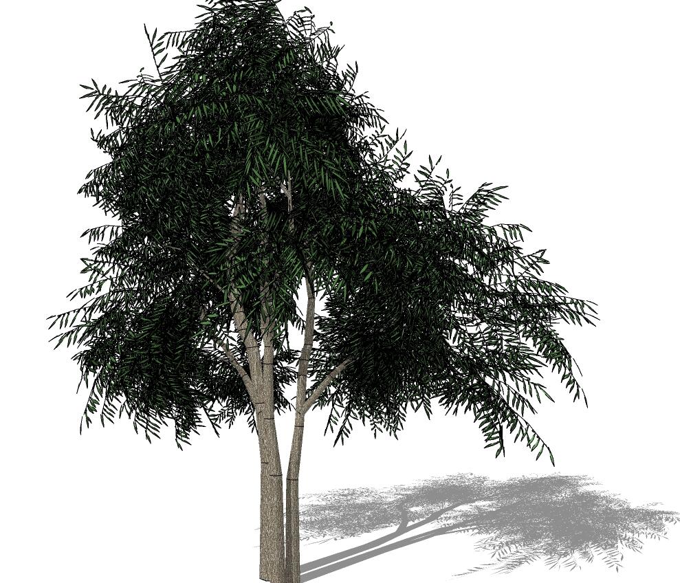 3D乔木 (68).jpg