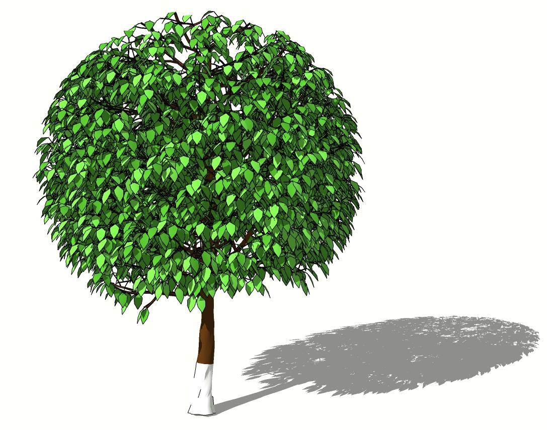 3D乔木 (75).jpg