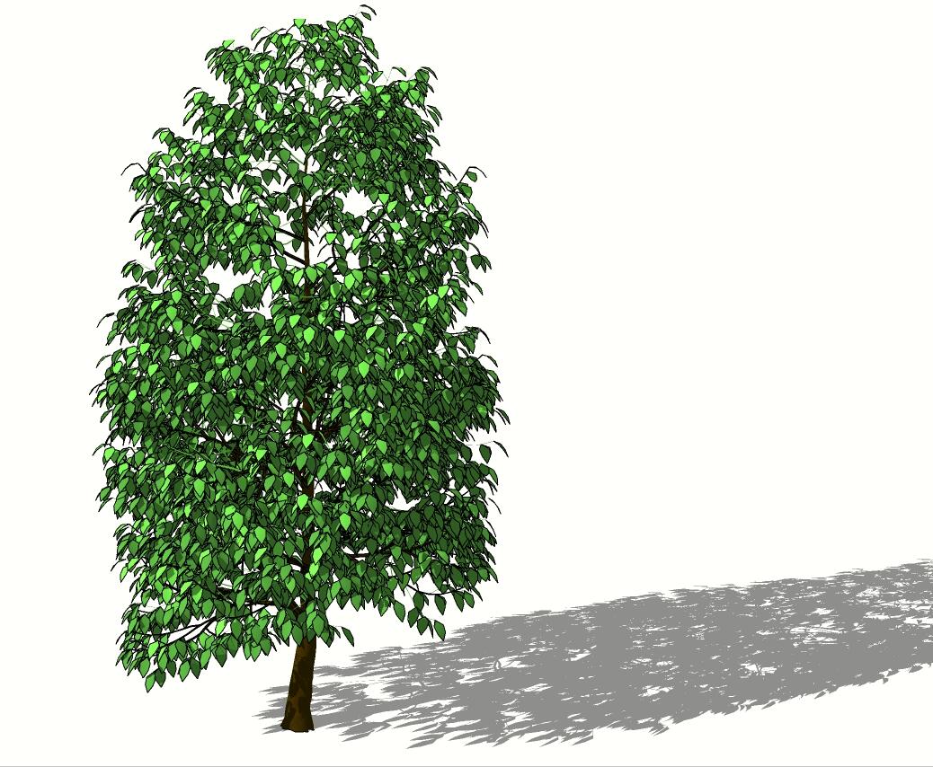 3D乔木 (76).jpg