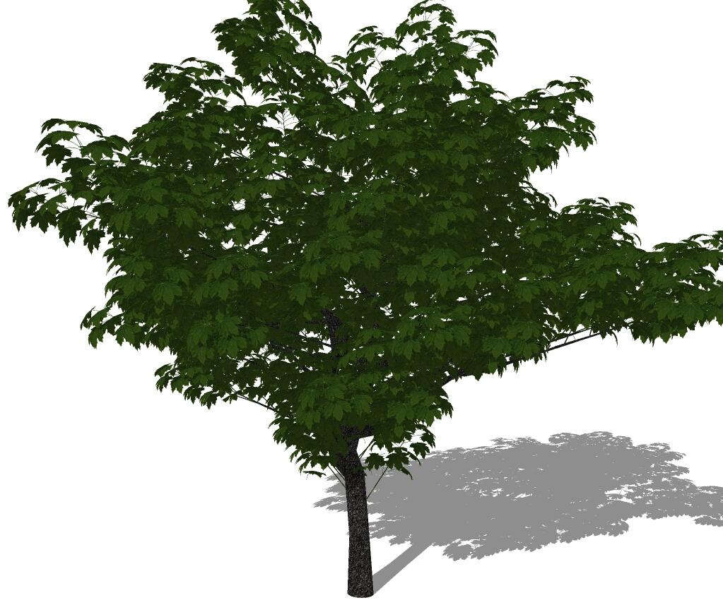 3D乔木 (81).jpg