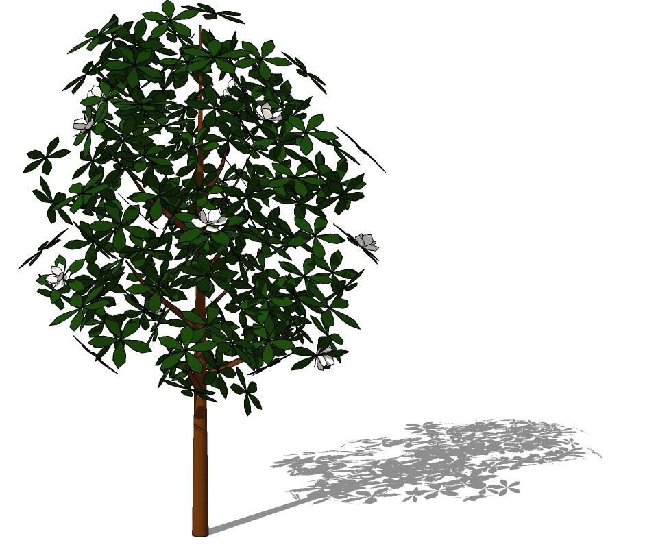 3D乔木 (101).jpg