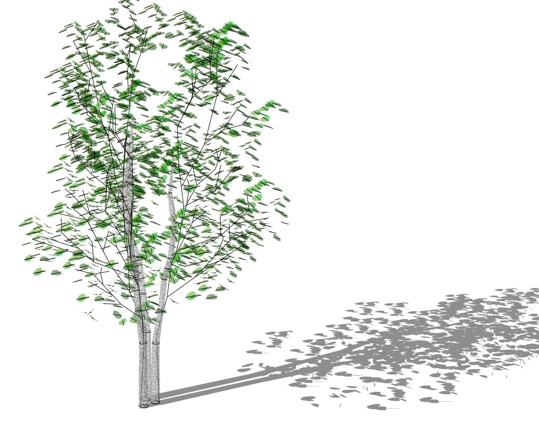 3D乔木 (117).jpg