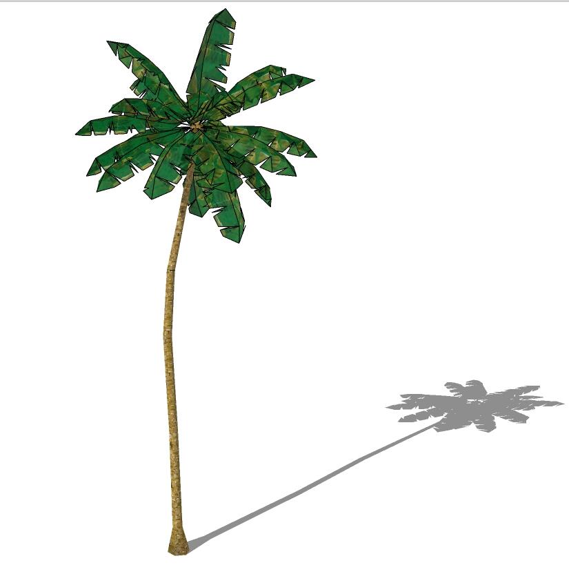 3D热带树 (3).jpg