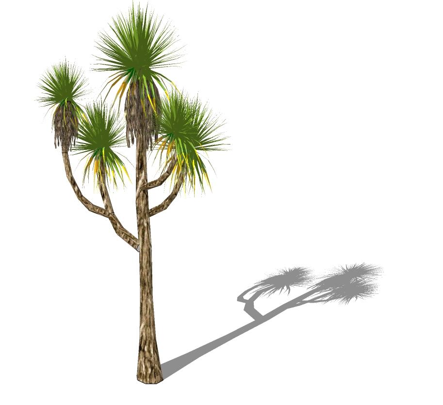 3D热带树 (16).jpg