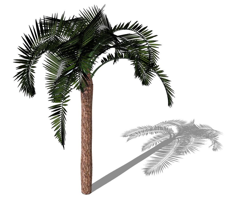 3D热带树 (26).jpg