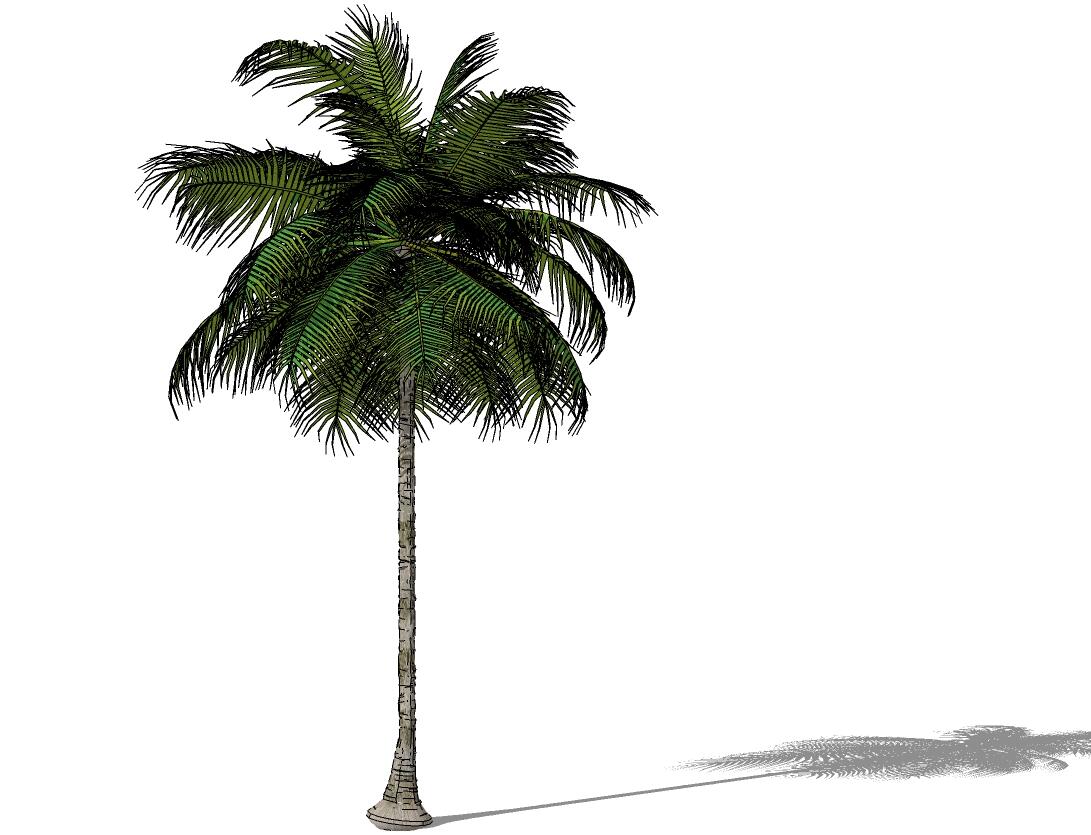 3D热带树 (32).jpg