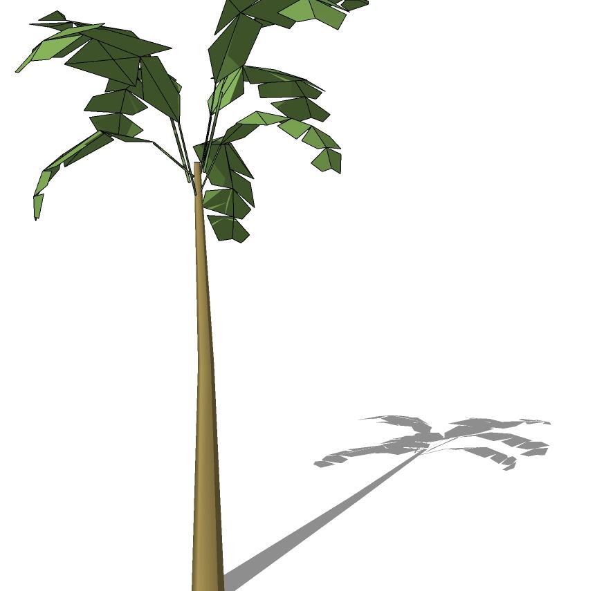 3D热带树 (33).jpg