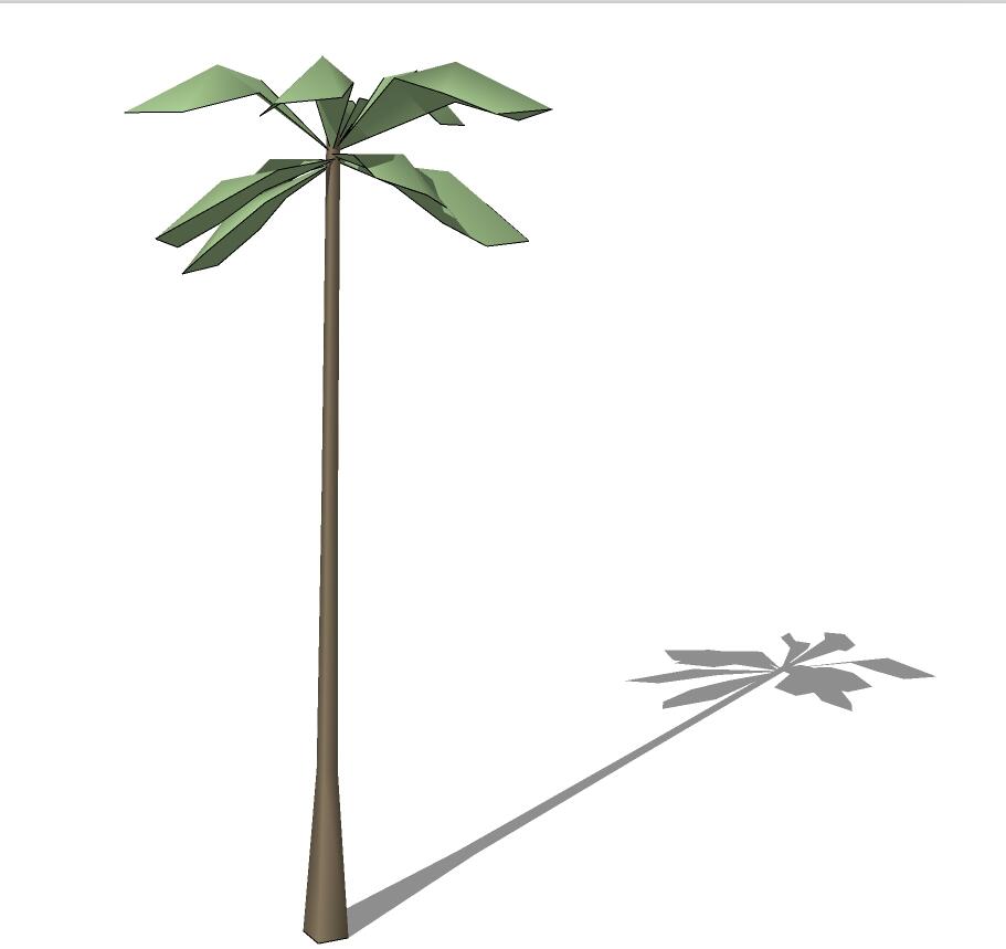 3D热带树 (34).jpg