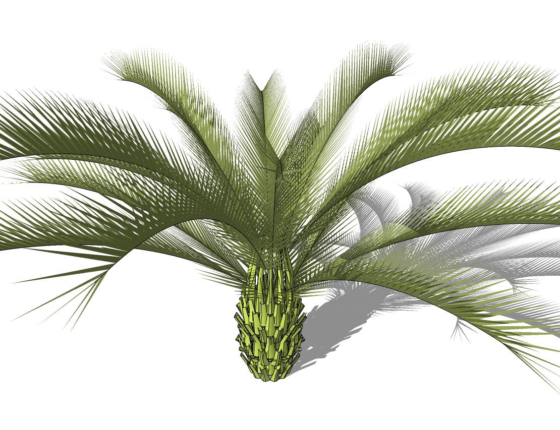 3D热带树 (36).jpg