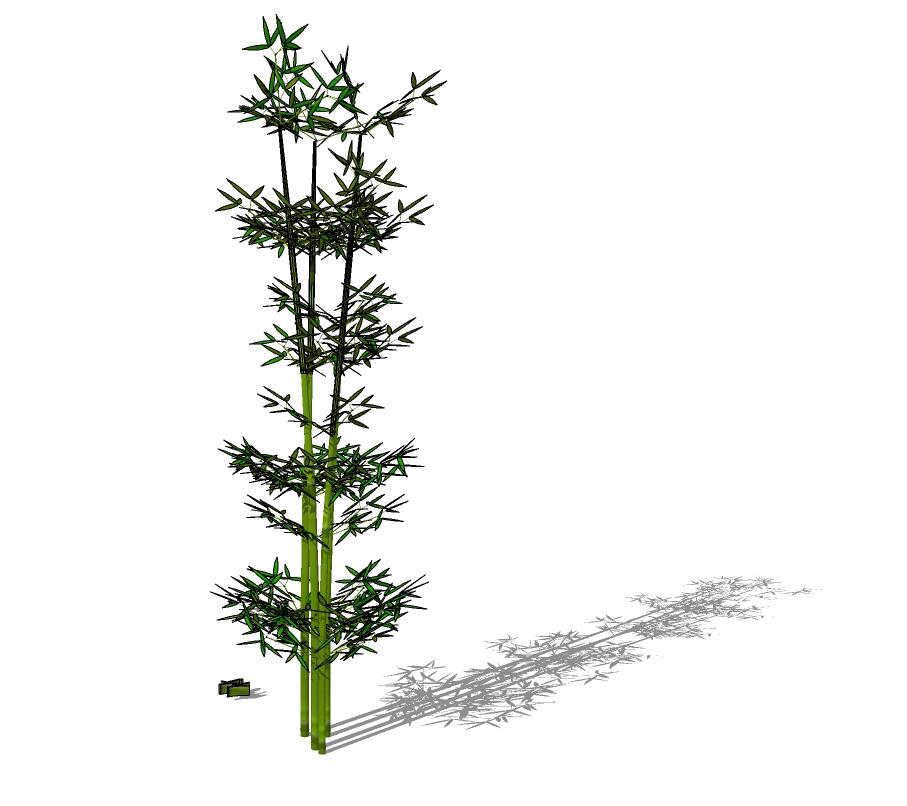 3D竹子 (2).jpg