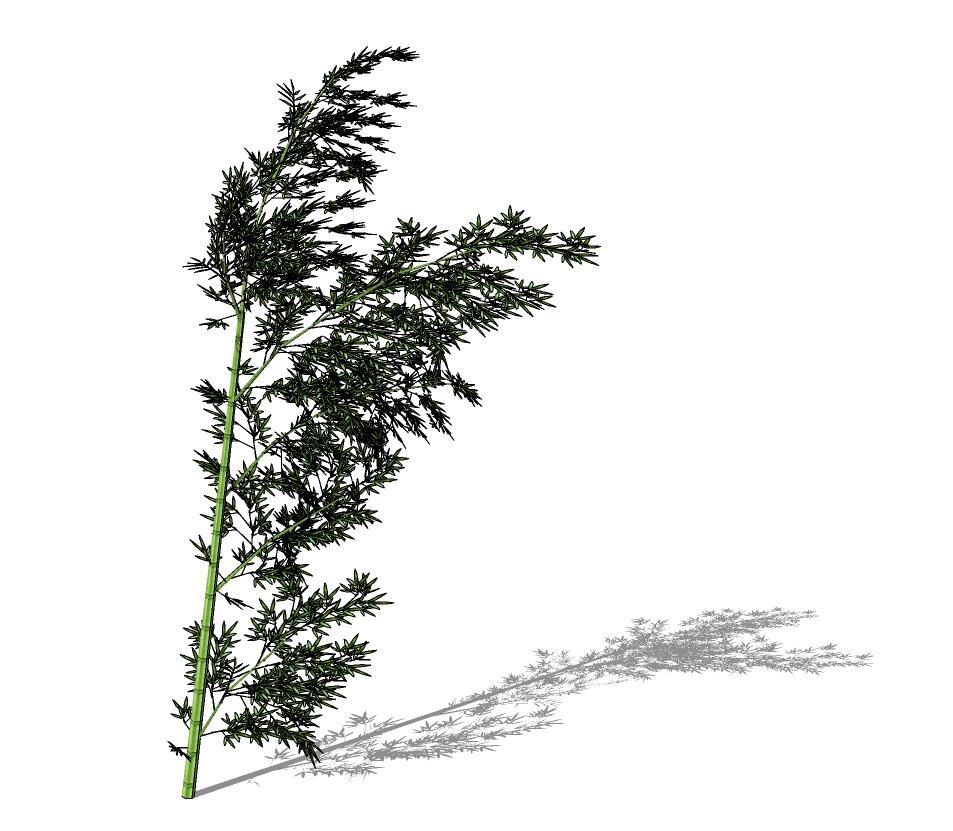 3D竹子 (3).jpg