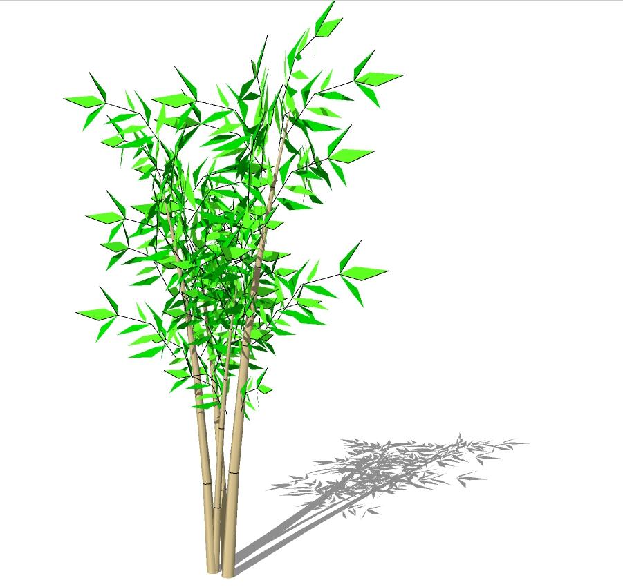 3D竹子 (4).jpg