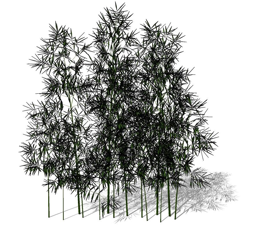 3D竹子 (5).jpg