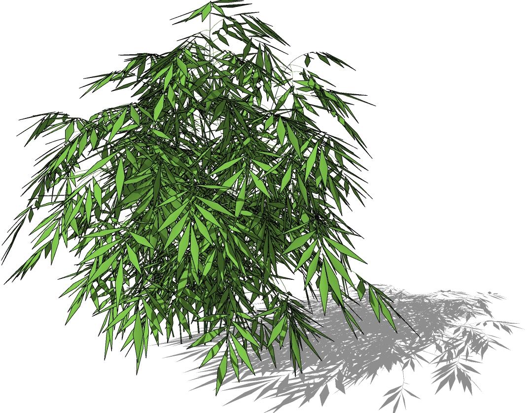 3D竹子 (14).jpg