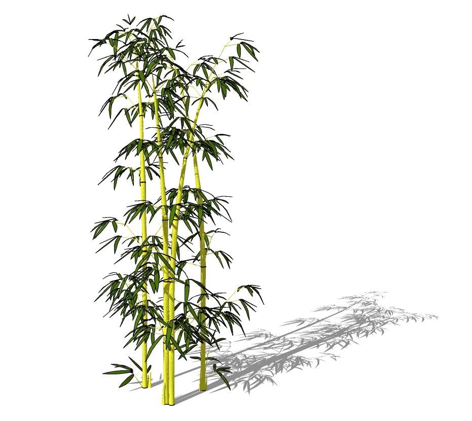 3D竹子 (17).jpg