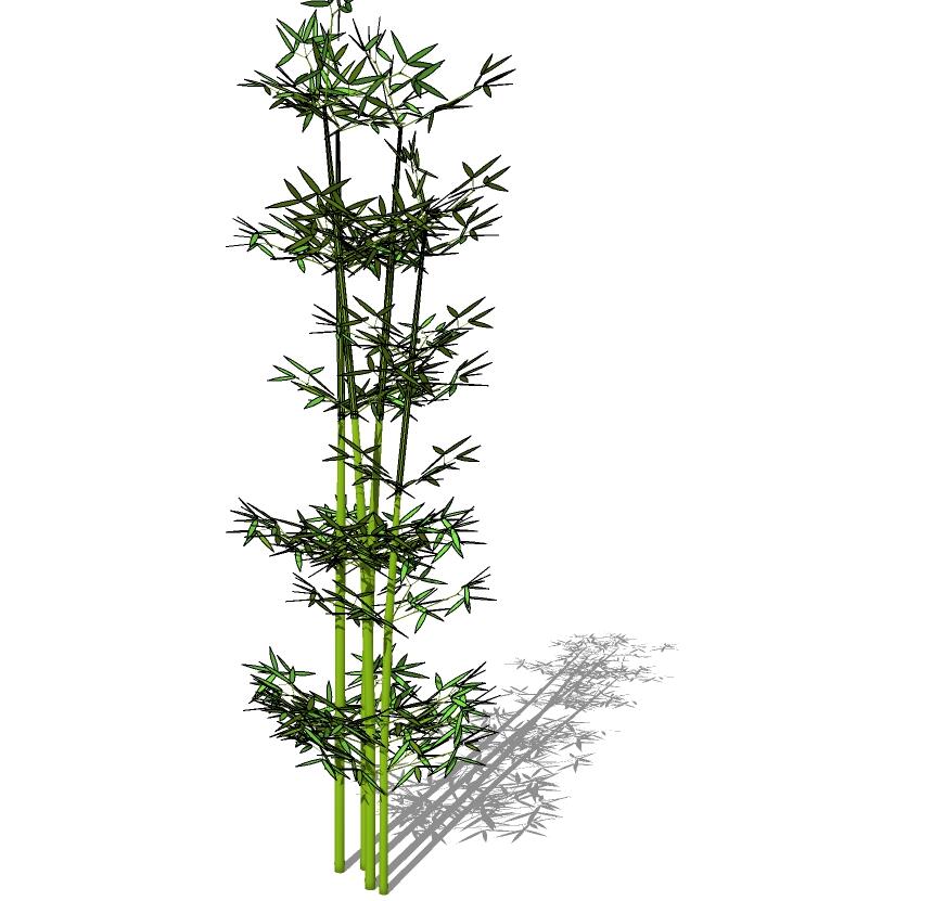 3D竹子 (20).jpg