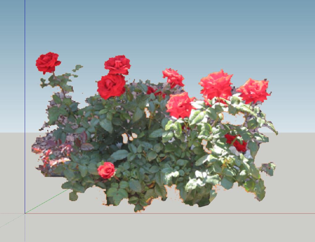 SU植物组件模型 (7).jpg