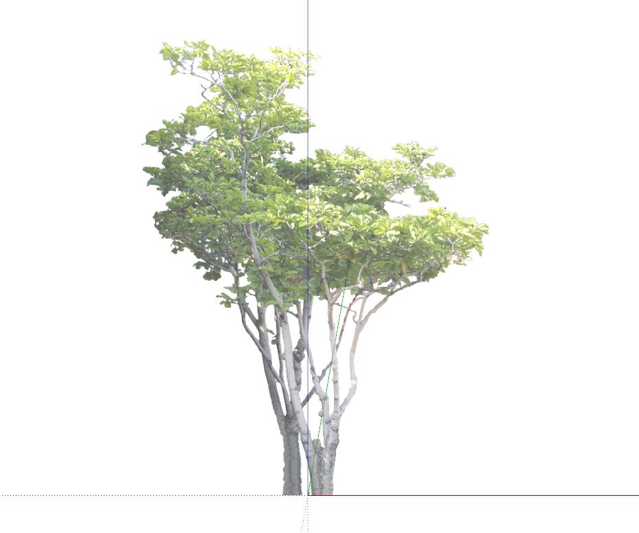 SU植物组件模型 (9).jpg