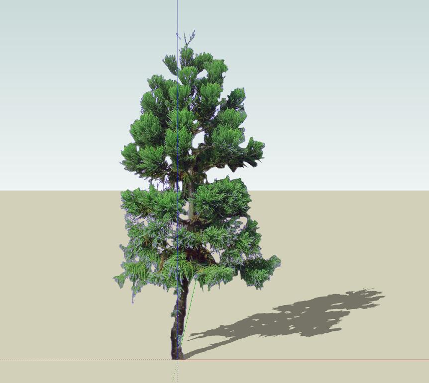 SU植物组件模型 (11).jpg