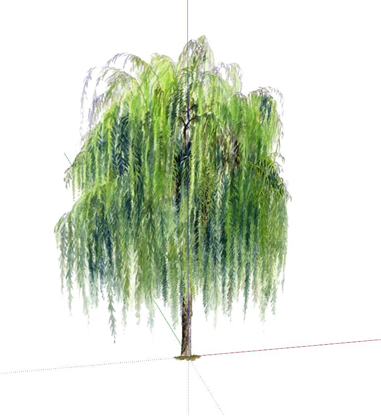 SU植物组件模型 (13).jpg