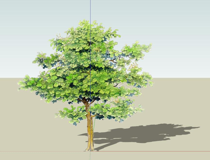 SU植物组件模型 (28).jpg