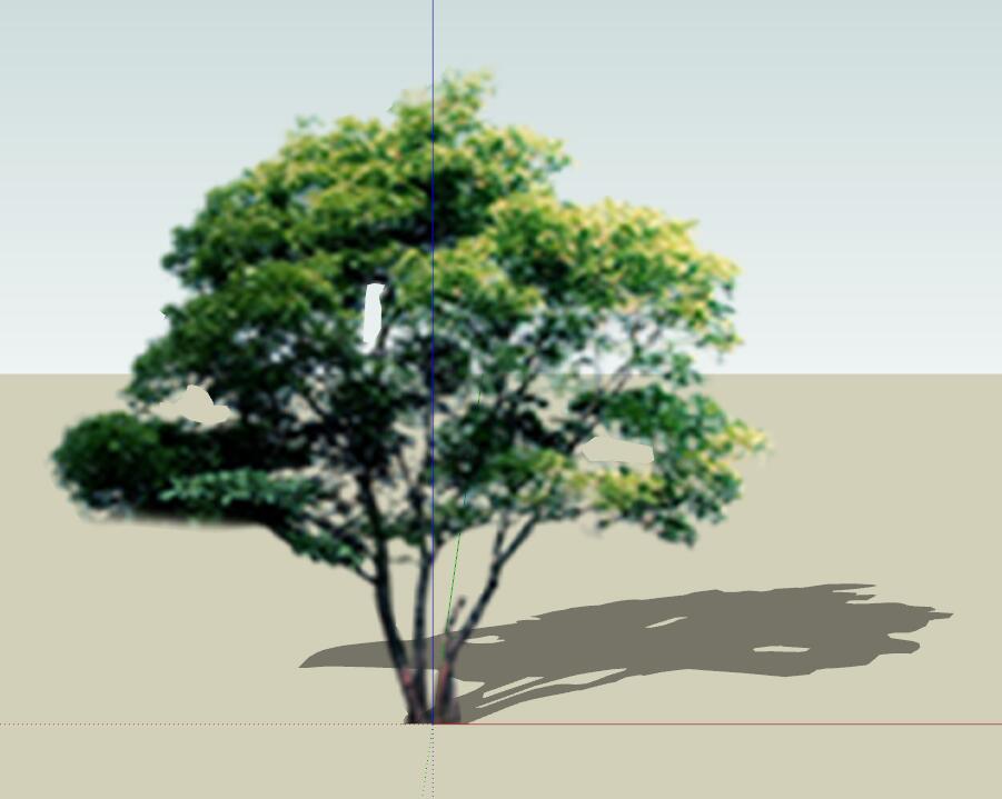 SU植物组件模型 (29).jpg