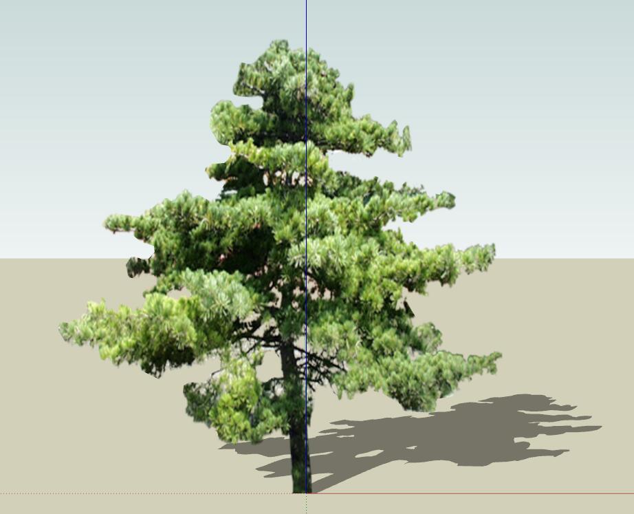 SU植物组件模型 (32).jpg