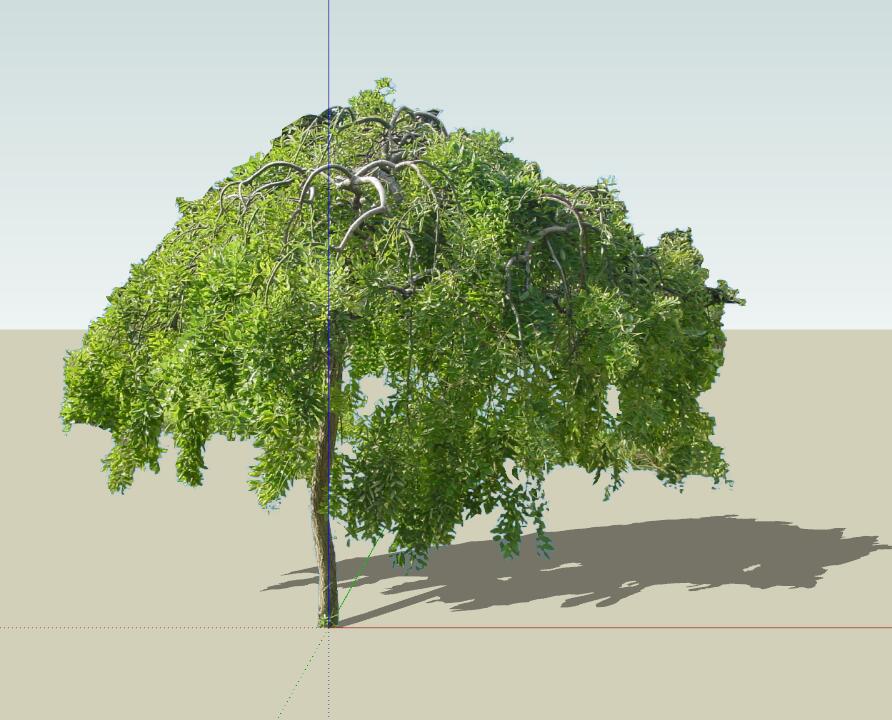 SU植物组件模型 (33).jpg