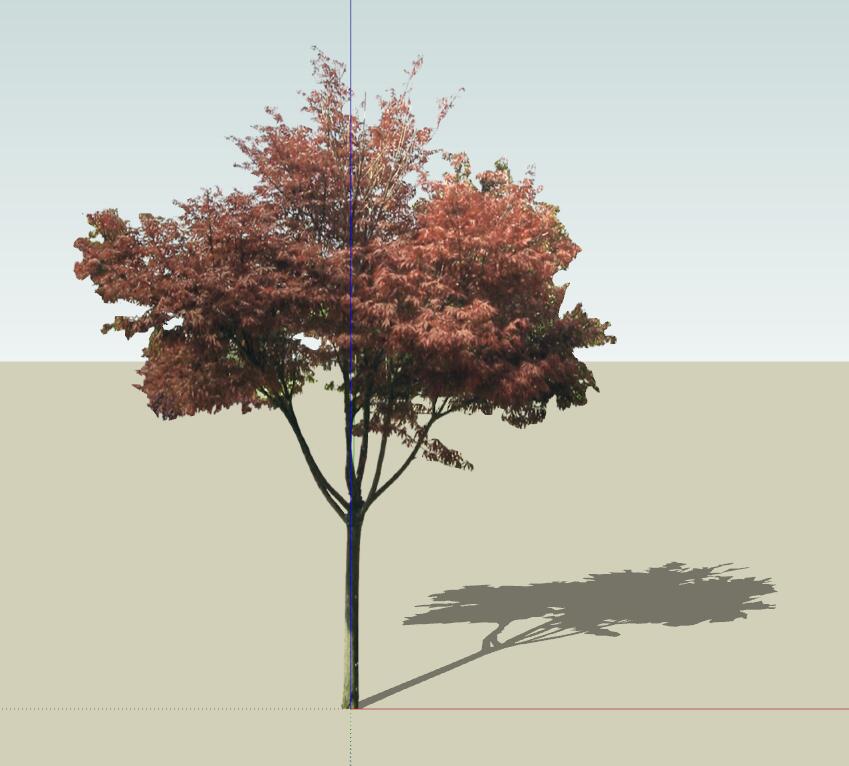 SU植物组件模型 (35).jpg