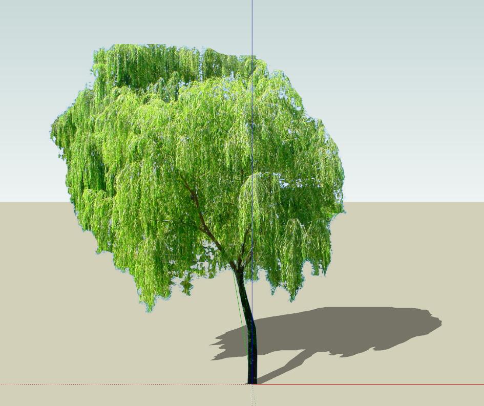 SU常用植物模型 (5).jpg