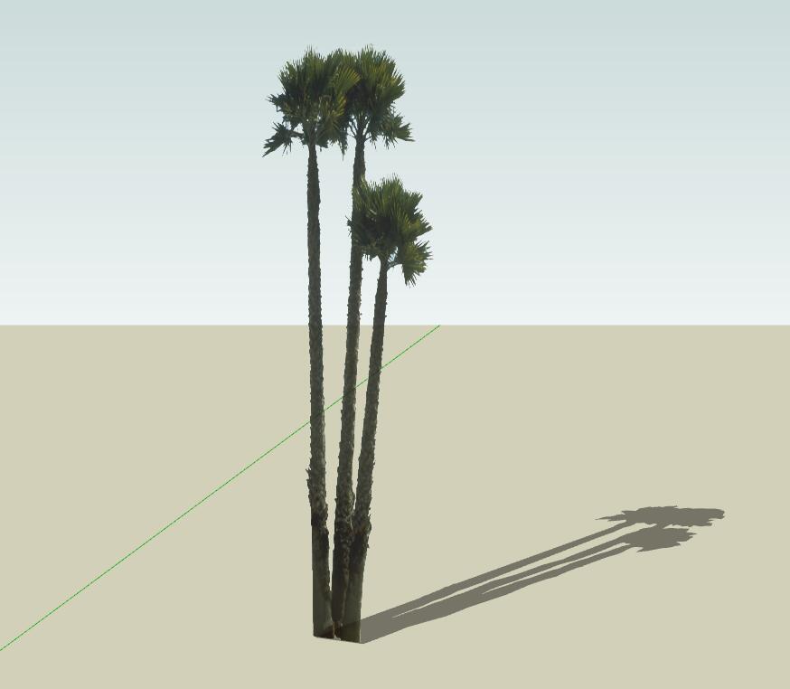 SU常用植物模型 (12).jpg