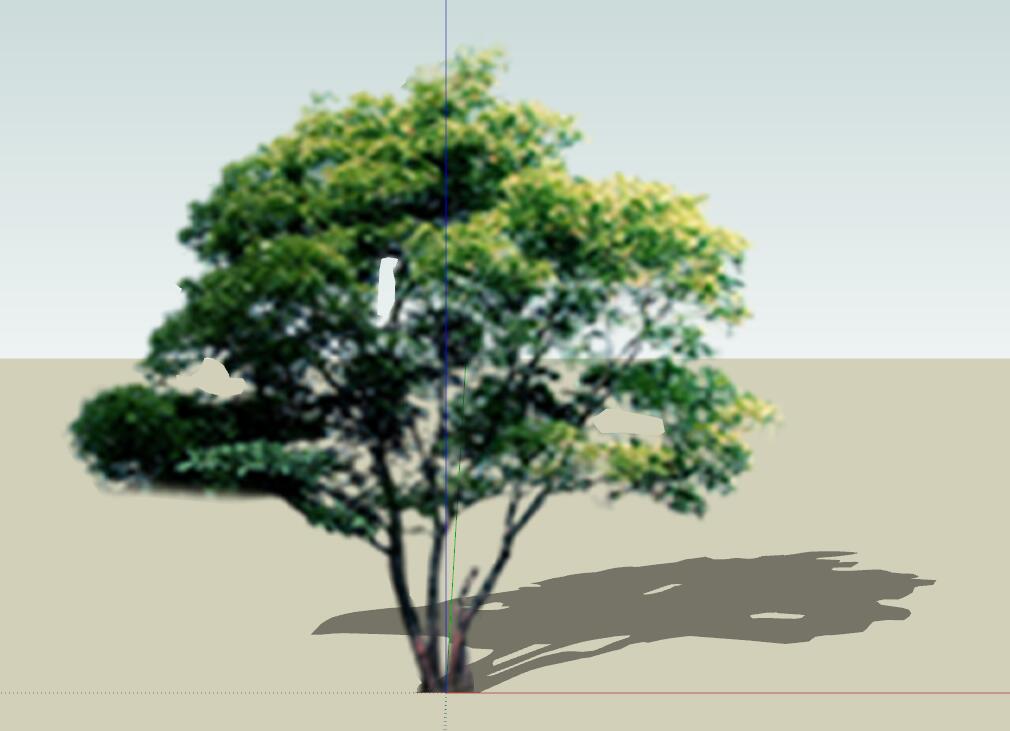 SU常用植物模型 (16).jpg