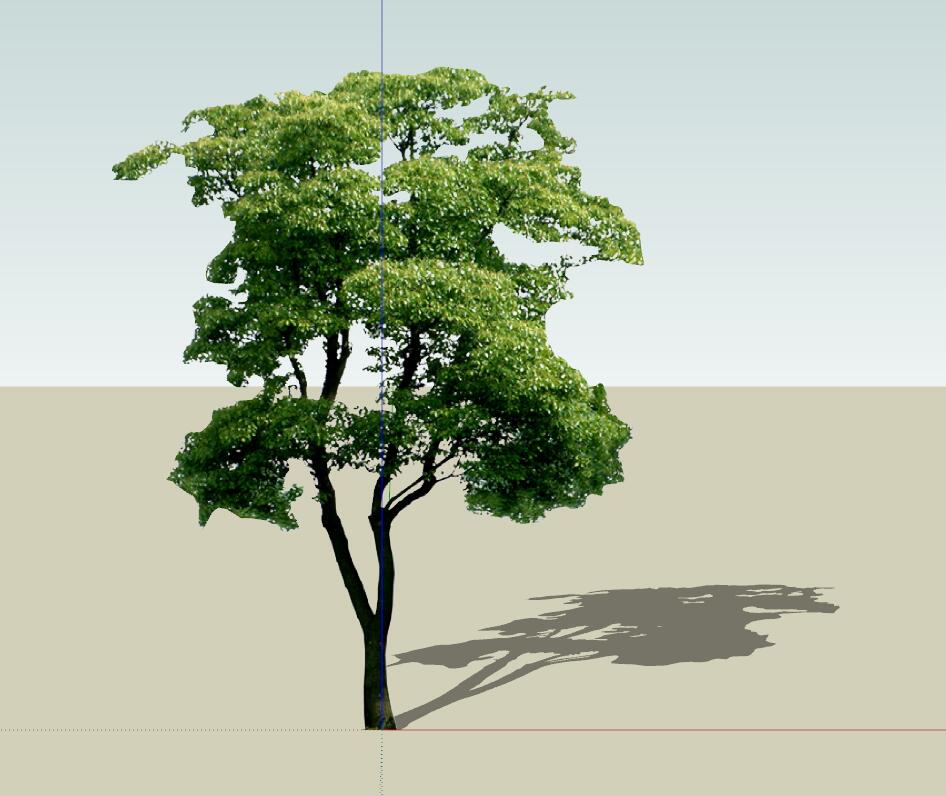 SU常用植物模型 (18).jpg