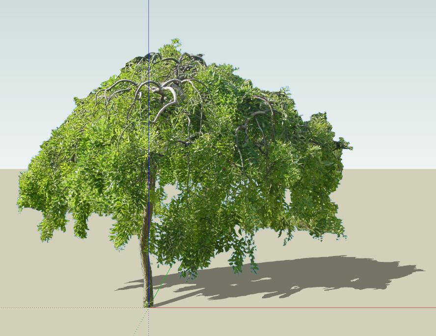 SU常用植物模型 (22).jpg