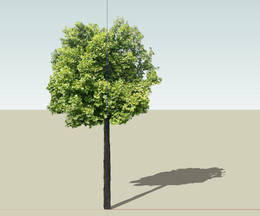 SU常用植物模型 (25).jpg