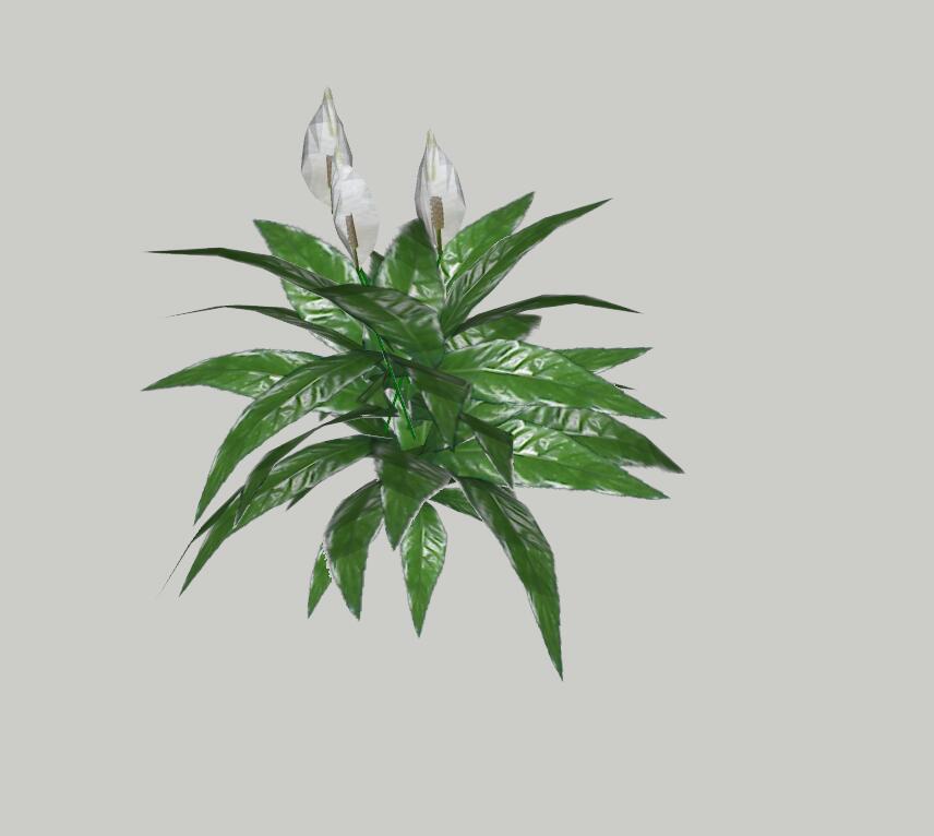 灌木乔木SU模型 (18).jpg