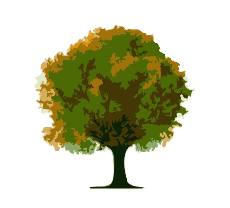 手绘树SU模型 (17).jpg