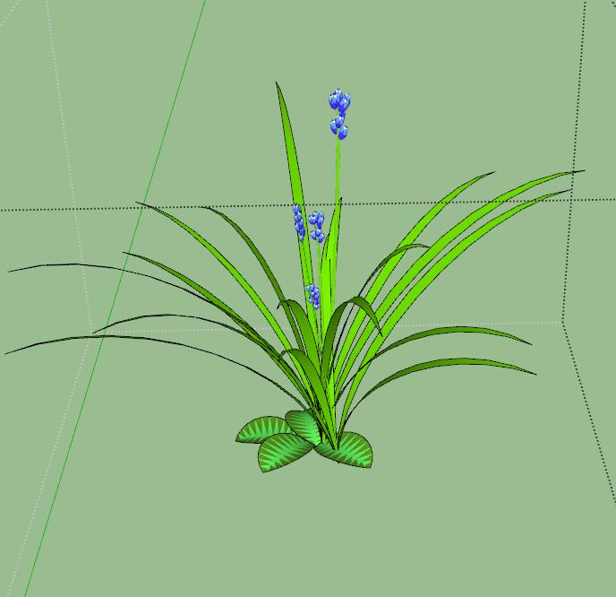SU灌木乔木植物模型 (1).jpg