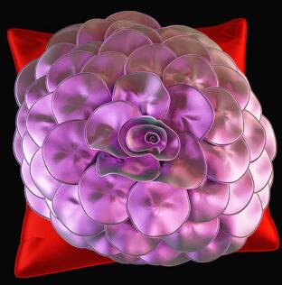 靠垫3Dmax模型 (81).jpg