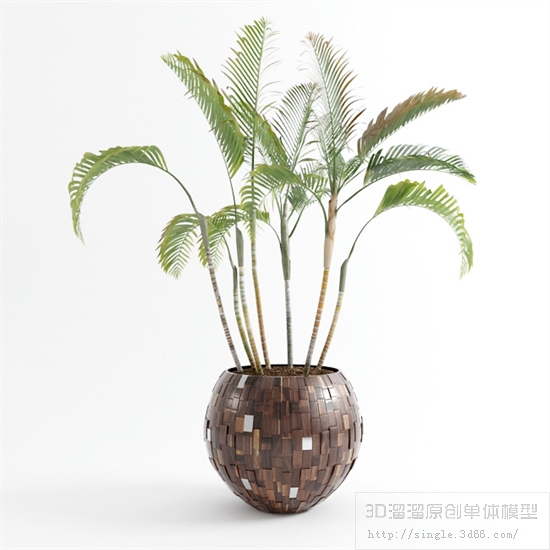 办公酒店植物3Dmax模型 (3).jpg