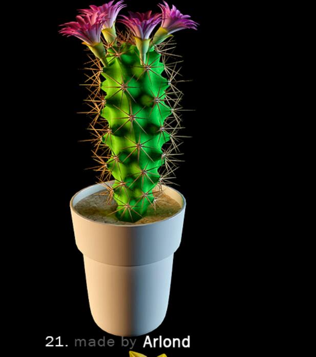 3dmax高精度花模型 (21).jpg