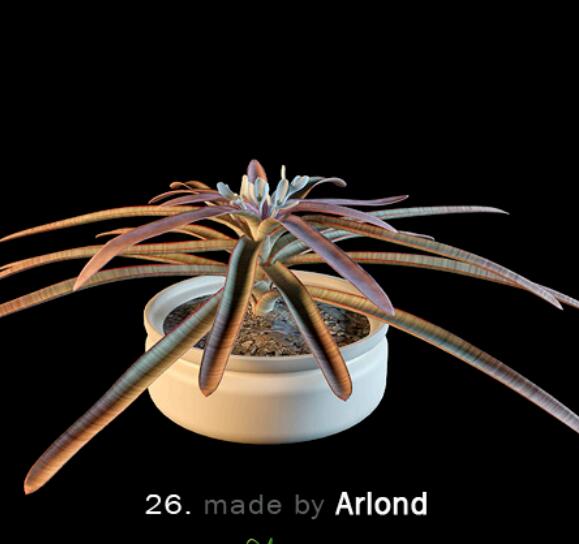 3dmax高精度花模型 (26).jpg