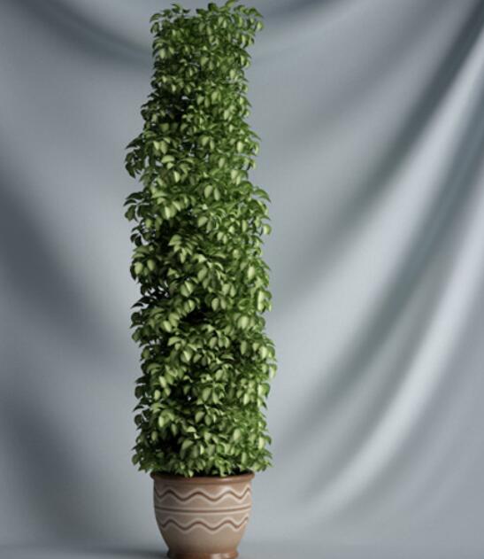植物 摆件3Dmax模型. (17).jpg