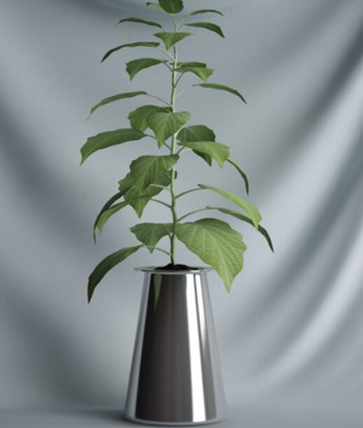 植物 摆件3Dmax模型. (20).jpg