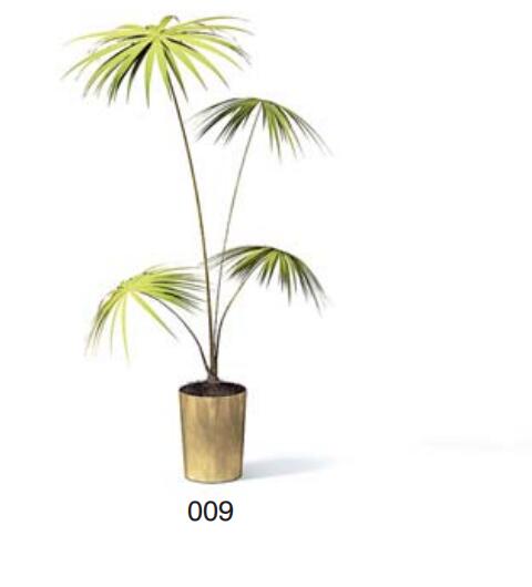 小型装饰植物 3Dmax模型. (9).jpg